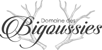 Domaine des Bigoussies